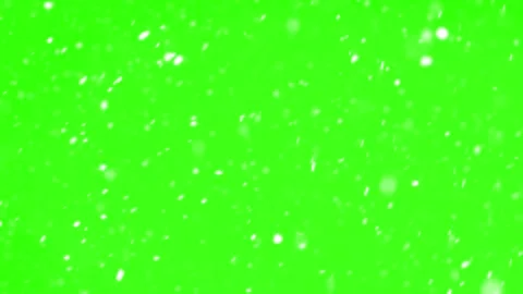 Real Snow Falling on Green Screen Background, Winter Overlay 4K Stock Footage 312102436