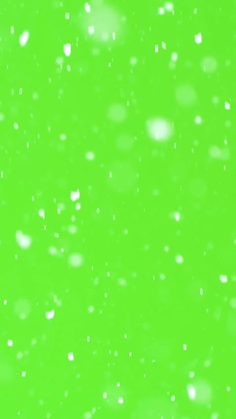 Real Snow Falling on Green Screen, Vertical Winter Snowing Background Stock Footage 324575746