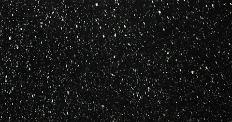 Real Snow Falling Isolated Against Black Background Stock Footage 124620213