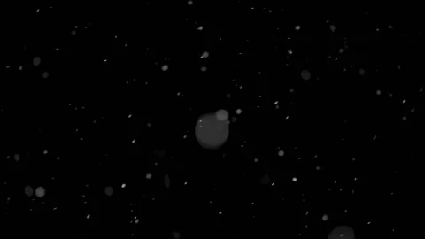 Real snow falling isolated on black background, it is snowing in cold winter Stock Footage 146596975