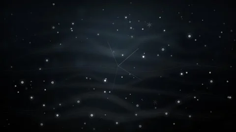 Real Snow Falling Loop - Black Background Winter Backdrop Vidéo 344033264