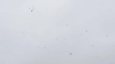 Real Snow Falling in Slow Motion, Loopable. Video stock 168682880