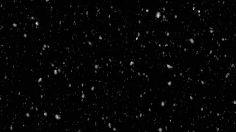 Real Snow, falling snow isolated on blac... | Stock Video | Pond5