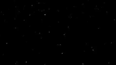 Real Snow, falling snow isolated on black background Stock Footage 170996684