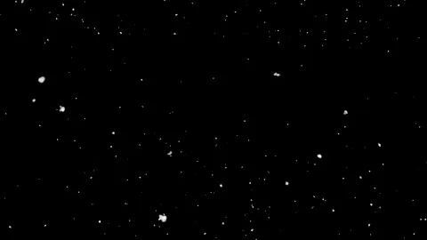 Real Snow, falling snow isolated on black background Stock Footage 171019688