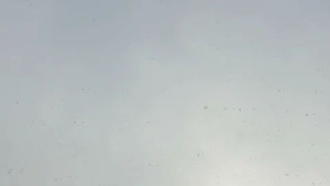 Real snow falling,footage Stock Footage 89205708