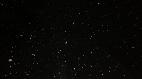 Real snow falls on camera. Falling snow. Heavy snowfall video. Winter fairy tale Stock Footage 204713873