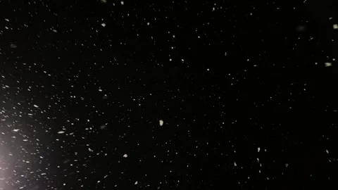 Real snow falls on camera. Falling snow. Heavy snowfall video. Winter fairy tale 스톡 동영상 204713941