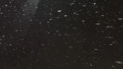 Real snow falls on camera. Falling snow. Heavy snowfall video. Winter fairy tale Stock Footage 261222332