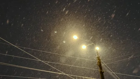 Real snow falls on camera. Falling snow. Heavy snowfall video. Winter fairy tale Stock Footage 261222650