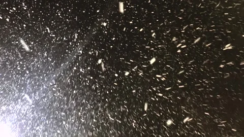 Real snow falls on camera. Falling snow. Heavy snowfall video. Winter fairy tale Stock-Footage 262534701
