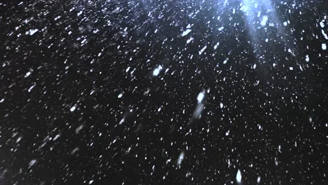 Real snow falls on camera. Falling snow. Heavy snowfall video. Winter fairy tale Stock-Footage 262771224