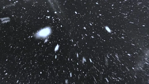 Real snow falls on camera. Falling snow. Heavy snowfall video. Winter fairy tale Stock Footage 263731535