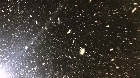 Real snow falls on camera. Falling snow. Heavy snowfall video. Winter fairy tale Stock Footage 279271335
