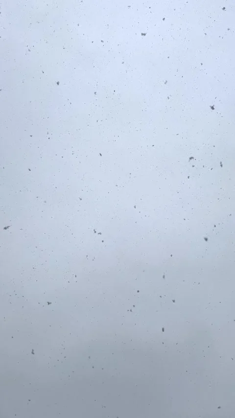 Real snow falls on the camera. Grey winter sky with gentle snowfall. Stock Footage 346728619