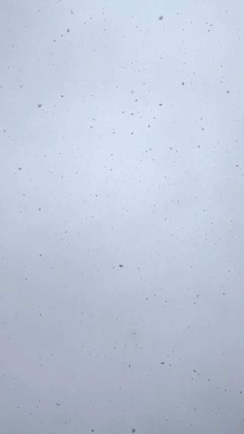 Real snow falls on the camera. Grey winter sky with gentle snowfall. 库存影片 347884349