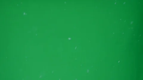 Real snow flakes falling outside captured on green screen Stock Footage 98122640