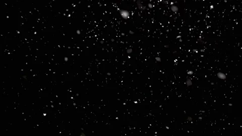 Real Snow Snowing Winter Stock Footage 166145121