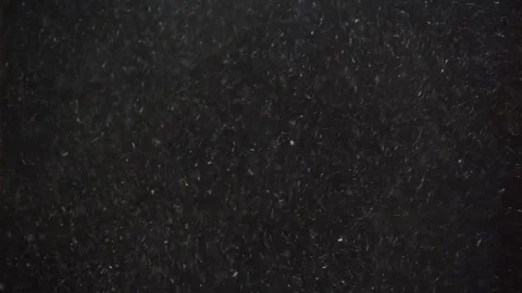 Real snow storm on black background Stock Footage 275740800