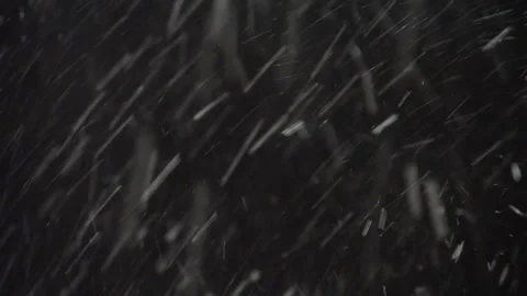 Real Snow Storm On Black Background During Heavy Winter Wind Stock Footage 321361412
