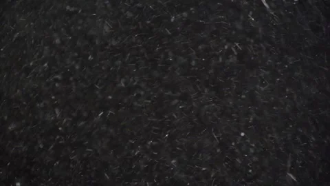 Real snowfall on black isolated background.snow storm in the open air is filmed Stock Footage 266036546