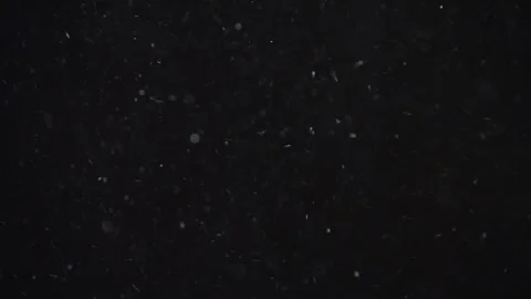 Real snowfall on black isolated background.snow storm in the open air is filmed Stock Footage 266036785