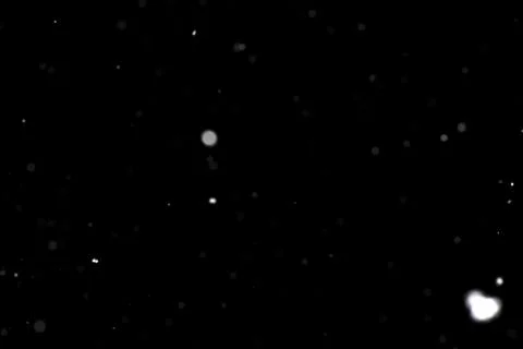 Real snowfall. Design pattern to overlay the image and create snowfall effect Foto stock