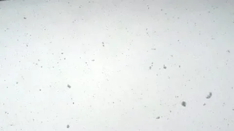 Real Snowfall Stock Footage 21789053