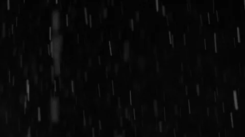 Real snowfall Stock Footage 96199359