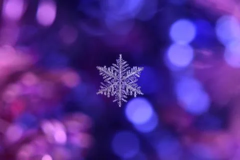Real snowflake on a bokeh background Stock Photos