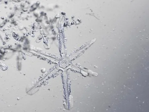 Real snowflake Stock Photos