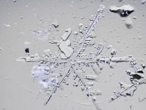 Real snowflake Stock Photos