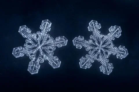 Real snowflake 스톡 사진