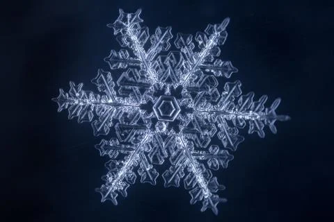 Real snowflake 스톡 사진