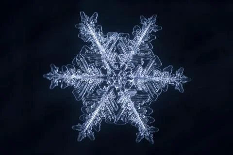 Real snowflake Stock Photos