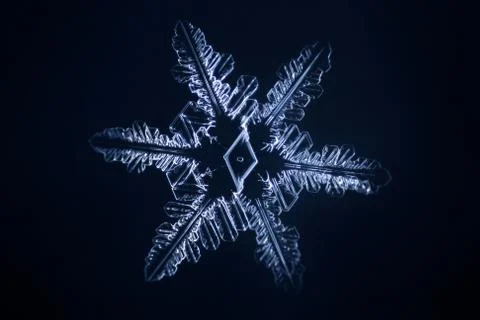 Real snowflake Stock Photos