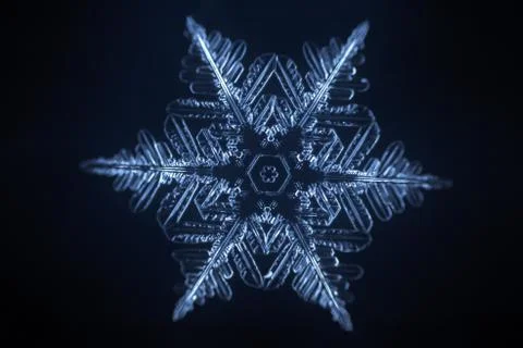 Real snowflake 스톡 사진