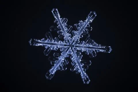 Real snowflake Stock Photos