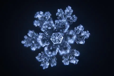 Real snowflake Stock Photos
