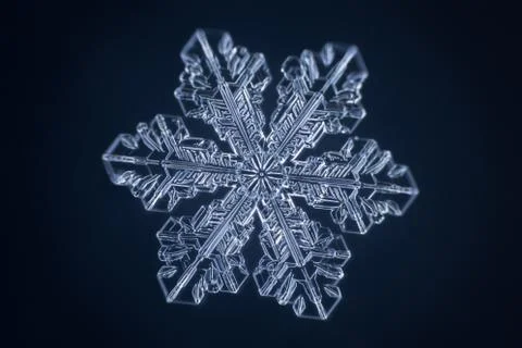 Real snowflake 스톡 사진