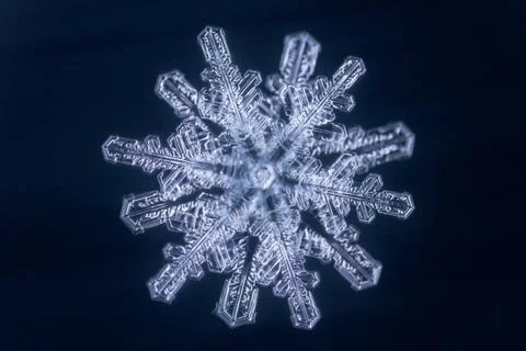 Real snowflake 스톡 사진