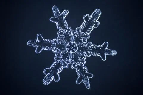 Real snowflake 스톡 사진