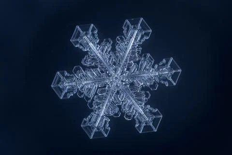 Real snowflake 스톡 사진