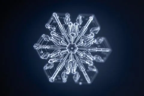 Real snowflake 스톡 사진
