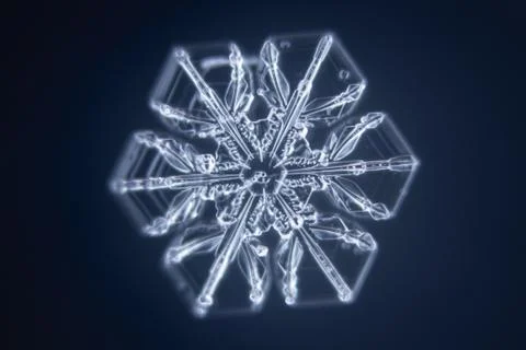 Real snowflake Stock Photos