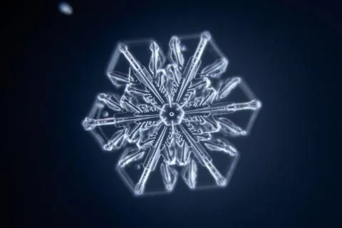 Real snowflake Stock Photos