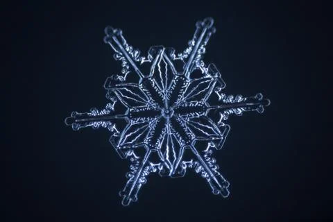 Real snowflake Stock Photos
