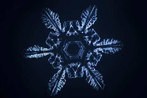 Real snowflake 스톡 사진