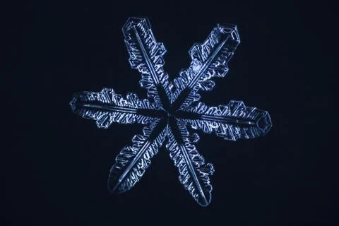 Real snowflake Stock Photos