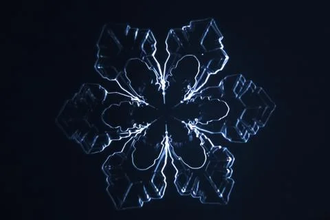 Real snowflake Stock Photos
